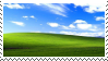 Windows XP Mellowfield Background