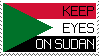 Keep Eyes on Sudan