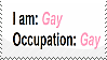 I am: Gay; Occupation: Gay